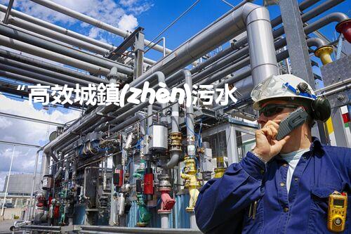 “高效城鎮(zhèn)污水處理流程，守護(hù)碧水藍(lán)天新篇章”